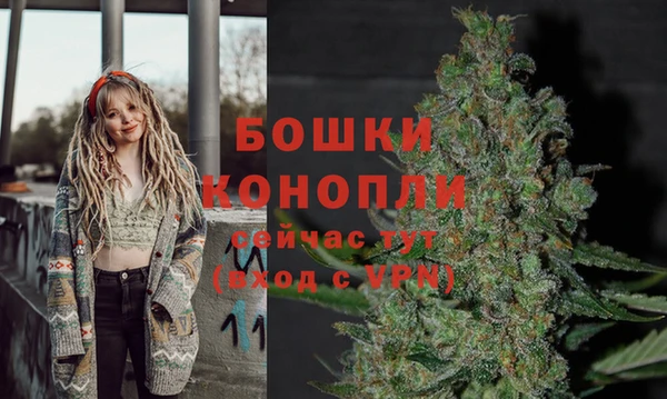 тгк Кукмор