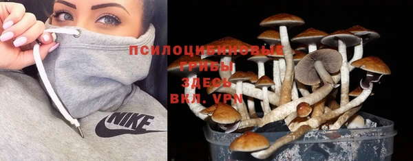 спиды Лагань