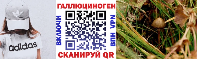 Галлюциногенные грибы мицелий Нижняя Тура